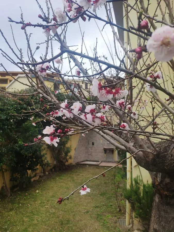 빌라시미우스 Il Borgo Del Sole 빌라 펜션